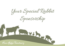 Load image into Gallery viewer, 2024 Holiday Rabbit Sponsorship from PRS!