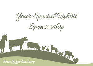 2024 Holiday Rabbit Sponsorship from PRS!
